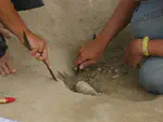 Excavation Practice